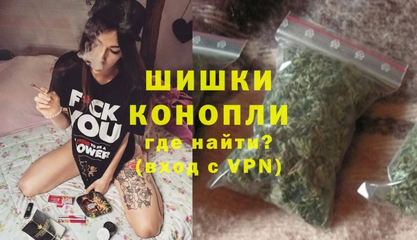 стаф Данков