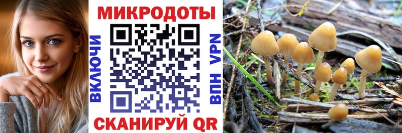 купить Кашин Галлюциногенные грибы мицелий